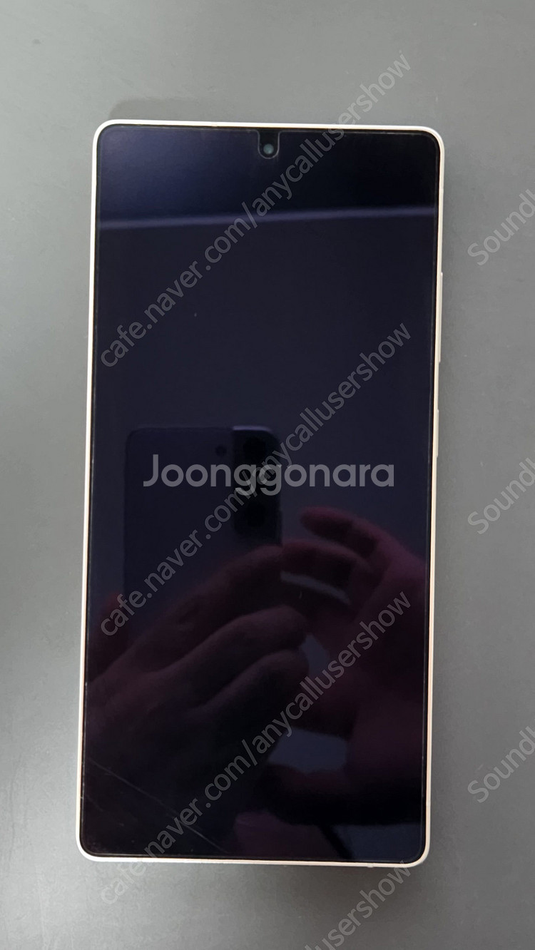 갤럭시 S25 Ultra 자급제 512GB 2대(실버블...--3